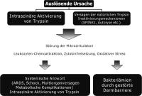 Abbildung 1: Akute Pankreatitis - Ursachen