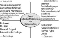 Abbildung 3: Alter - Faktoren