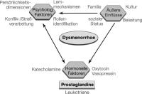 Abbildung 6: Dysmenorrhoe - Pathogenese