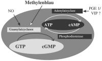 Abbildung 3: Methylenblau