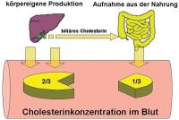 Abbildung 1: Ezetrol