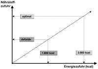 Abbildung 2: Nhrstoffzufuhr - Energiezufuhr