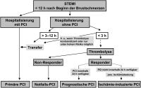 Abbildung 5: STEMI