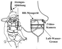 Abbildung 2: Spiroergometrie - Ganzkrperimmersion