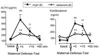 Abbildung 1: Maternal-Defence-Test