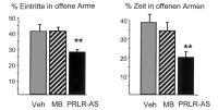 Abbildung 6: Prolaktin - Downregulation