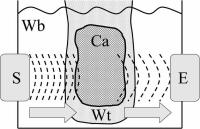 Abbildung 1: Densitometrie - Quantitativer Ultraschall