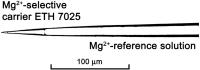 Figure 1: Mg2+-ion-selective microelectrode