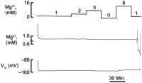 Figure 2: Mg2+