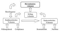 Abbildung 1: Spiroergometrie - Sauerstoffaufnahme