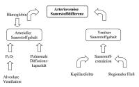 Abbildung 2: Spiroergometrie - Sauerstoffaufnahme