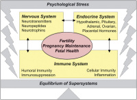 Abbildung 1: Stress response