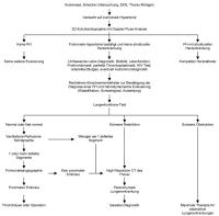 Abbildung 1: Pulmonale Hypertonie - Diagnose