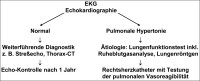 Abbildung 1: Pulmonale Hypertonie