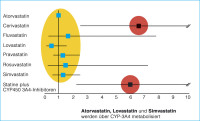 Abbildung 3: Statin - Muskelschdigung