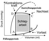 Abbildung 2: Herzinsuffizienz