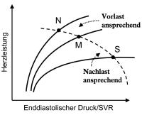Abbildung 3: Herzinsuffizienz