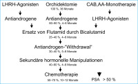 Abbildung 1: Hormonrefraktres Prostatakarzinom
