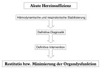 Abbildung 6: Herzinsuffizienz - Management