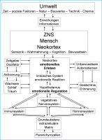 Abbildung 1: Emotionelle Reaktion
