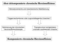 Abbildung 7: Herzinsuffizienz - Management