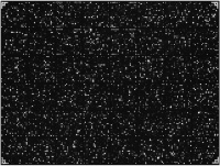 Figure 1: Ischemia Experiments