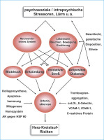 Abbildung 1: Stre - Arteriosklerose