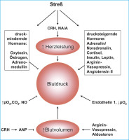 Abbildung 2: Strebeeinflute Neurotransmitter
