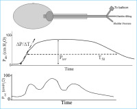 Abbildung 1: Isometric pressure