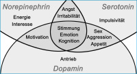 Abbildung 1: Psychopathologie