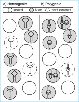 Abbildung 2a-b: Heterogenie - Polygenie