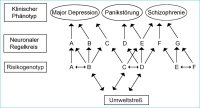 Abbildung 4: Psychiatrie - Genetik
