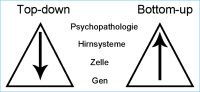 Abbildung 5: Imaging Genetics