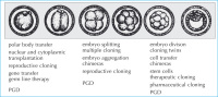 Abbildung 1: Mammalian embryos