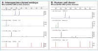 Abbildung 5a-b: DNA sequence analysis