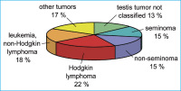 Abbildung 1: Tumor type