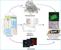 Abbildung 1: High-throughput-Forschung