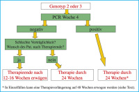 Abbildung 2: Empfohlene Vorgangsweise bei Genotyp 2 und 3