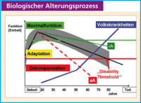 Abbildung 1: Biologischer Alterungsproze