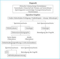 Abbildung 1: Schema zur Diagnostik und Therapie beim infertilen Mann