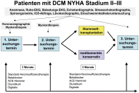 Abbildung 1: Patient - NYHA-Stadium
