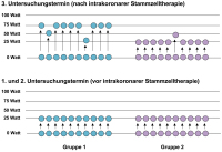 Abbildung 6: DCM