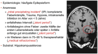 Abbildung 3: Mesiale Temporallappenepilepsie