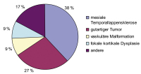 Abbildung 11: Epilepsiediagnostik - Epilepsiechirurgie