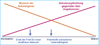Abbildung 1: Schwangerschaft - Schutzverpflichtung