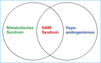 Abbildung 1: Metabolisches Syndrom - Hypoandrogenismus