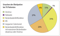 Abbildung 3: Obstipation