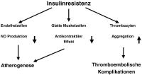 Abbildung 2: Insulinresistenz