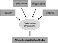 Abbildung 1: Endothele Dysfunktion - Atherothrombose