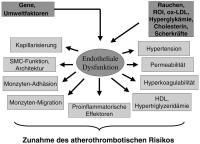 Abbildung 4: Atherothrombotisches Risiko